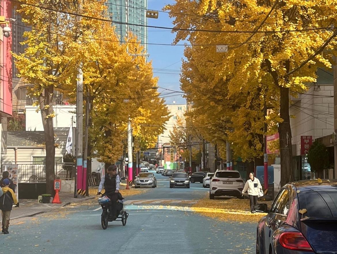 Happy Hapjeong *